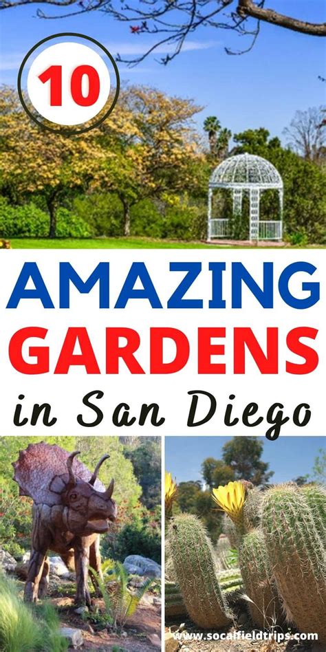 10 Botanical Gardens in San Diego You Will Want To Visit - SoCal Field ...