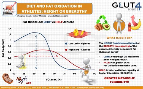 Fat Oxidation in Athletes: High Carbohydrate versus High Fat Diet - Glut4 Science