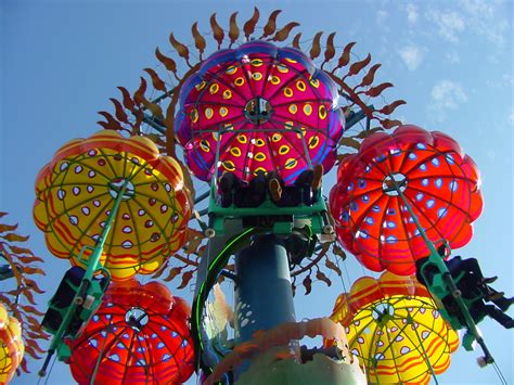 Jumpin' Jellyfish - Disney California Adventure - LaughingPlace.com