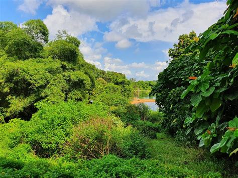 What to do in Pulau Ubin Singapore’s favourite island