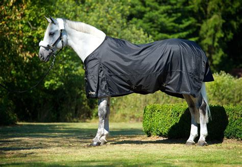 Back on Track Horse - Therapeutic Turnout Sheet — Warmblood Tack Store