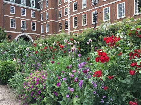 Inner Temple garden – Janna Schreier Garden Design