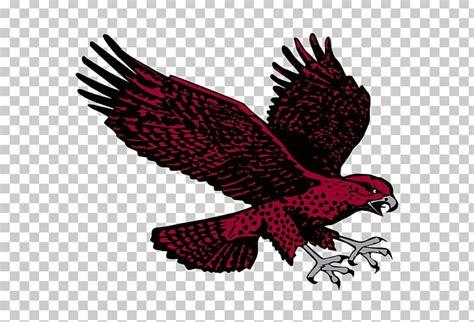 University Of Maryland Eastern Shore Maryland Eastern Shore Hawks Men's ...