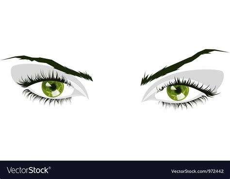 Green eyes Royalty Free Vector Image - VectorStock