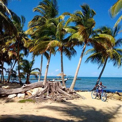 It's an absolutely beautiful day here at Pelican Beach Resort in Dangriga on the Belize central ...