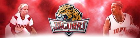 IUPUI Jaguars | Jaguars, Athlete, Indiana