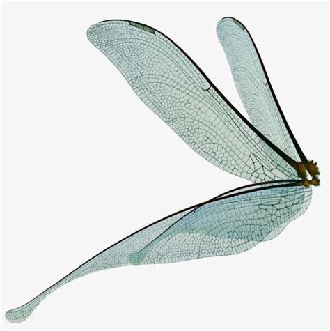 Dragonfly Fairy Wings Render By Frozenstocks On - Fairy Wings Png ...