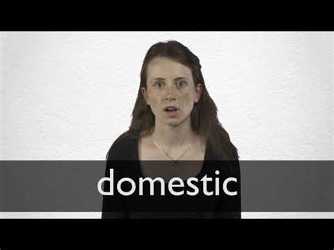 DOMESTIC definition in American English | Collins English Dictionary