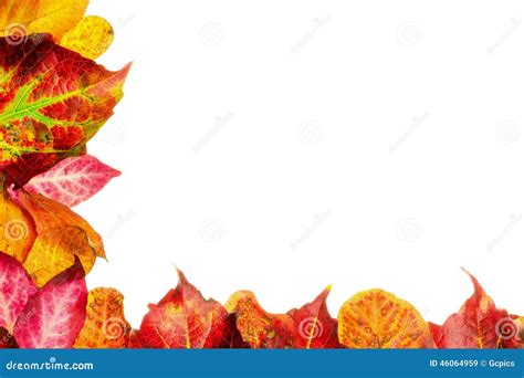 Autumn Fall Leaves Frame Border Stock Image - Image of colorful, green: 46064959