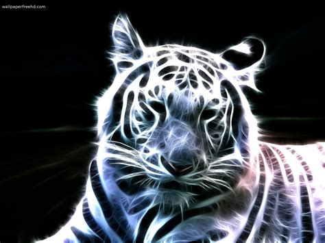 🔥 [60+] Neon Cat Wallpapers | WallpaperSafari