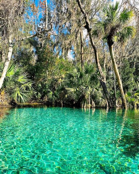 Rainbow Springs: Beautiful and Preserved as a State Park