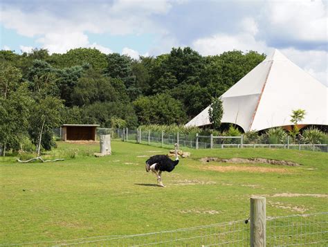 YORKSHIRE WILDLIFE PARK | REVIEW - emma plus three