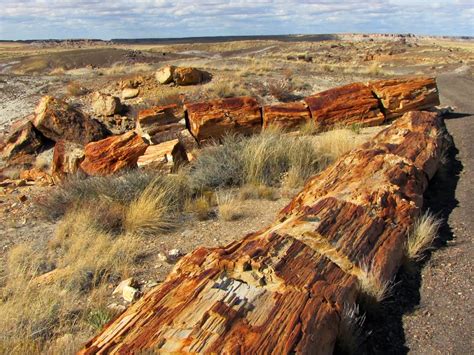 My Front Porch: petrified forest national park...