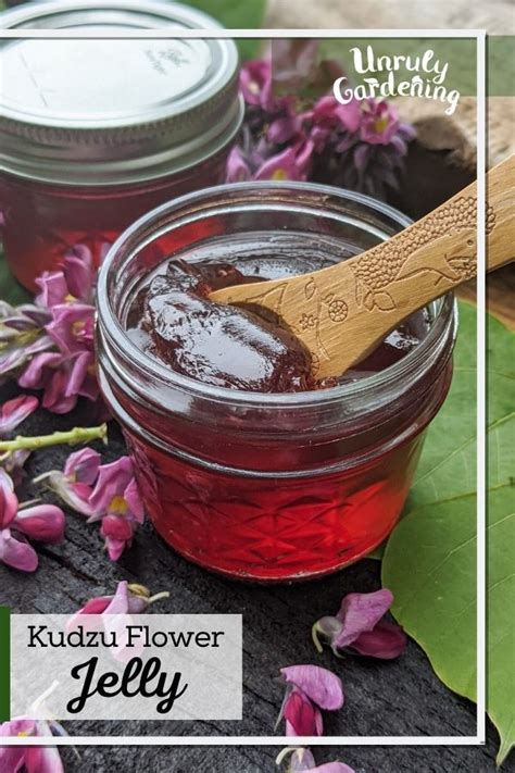 How to Make Kudzu Flower Jelly (+labels!) - Unruly Gardening