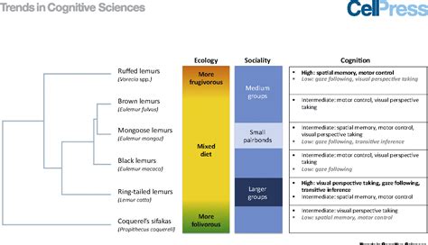 Spatial Memory | Semantic Scholar