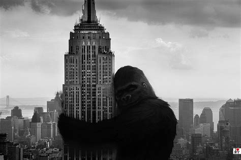 I love New York: King Kong | Moinid