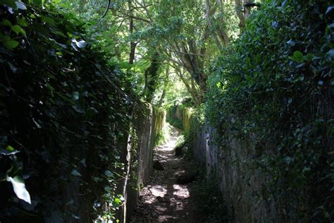 hiking-up-to-sintra-pena | Sintra, Hiking, Outdoor life