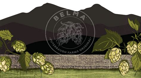 The Origins of Belma – Hops Direct