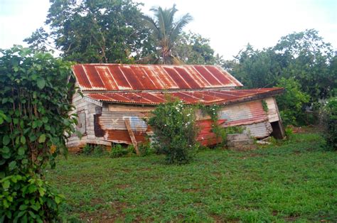 Testimonies from Tonga: TONGAN HOUSES