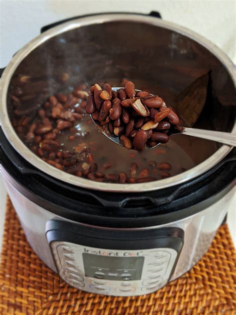 How to cook Kidney Beans in Instant pot { No Soak | Presoaked Options } - Chef In You