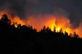 12 Wildfire Safety and Prevention Tips You Should Know ...