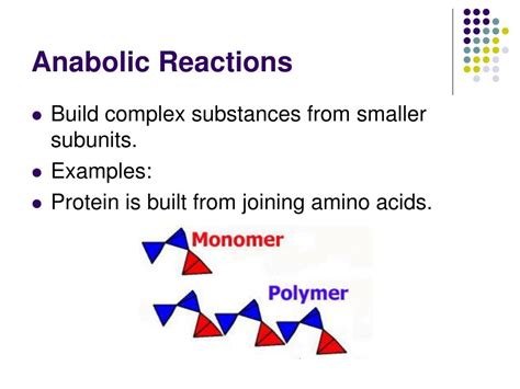 PPT - Metabolism PowerPoint Presentation, free download - ID:3118365