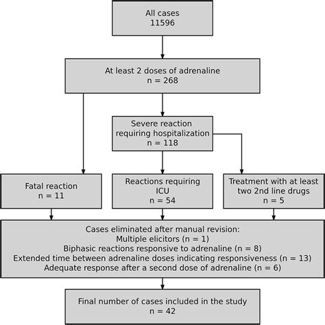 Anaphylaxis Shock Treatment