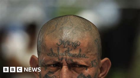 MS-13 gang: The story behind one of the world's most brutal street ...