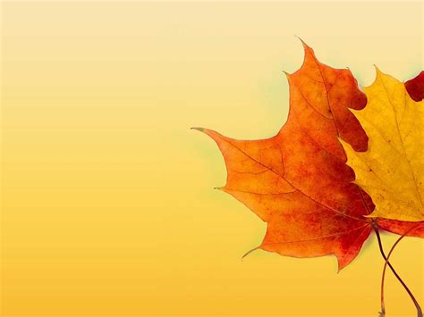 Autumn Ppt Background - Powerpoint Backgrounds For Free for Free Fall ...