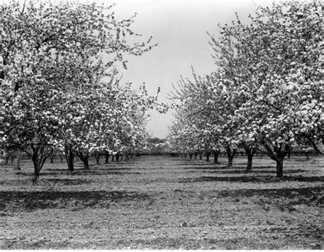 There's Something Special About These 10 Delaware Farms From The Past ...