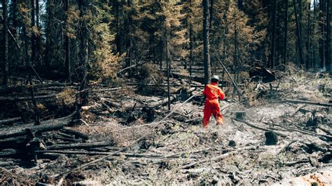 Evacuation order for Lebel-sur-Quévillon residents due to forest fires ...