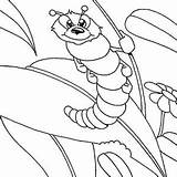 Cute Fat Caterpillar Squeezing Around Coloring Page  Kids Play Color sketch template