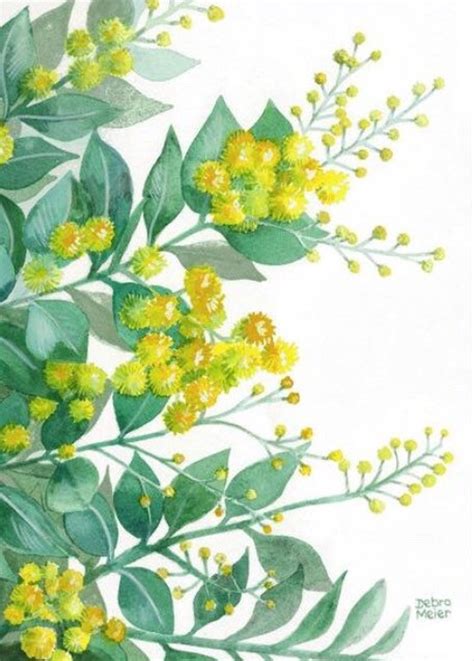 Australian Wattle Wattle Wall Art Australian Native Art - Etsy ...