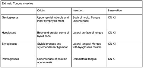 Tongue Muscle Innervation