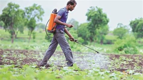 In pics: India calls in pest control as locusts attack states ...