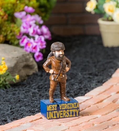 Evergreen West Virginia University, Mascot Statue, One Size - Kroger