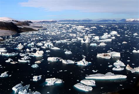 File:Glaciers and Icebergs at Cape York.jpg - Wikipedia, the free encyclopedia