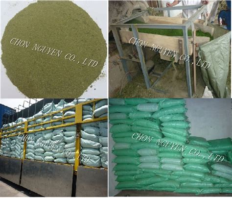 Ulva lactuca,Vietnam price supplier - 21food