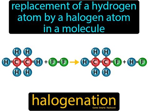 Halogenation - Easy Science | Hydrogen atom, Functional group, Molecules