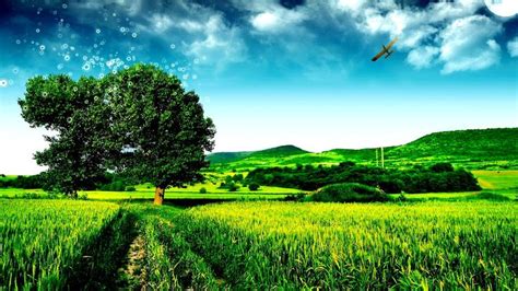 Free download Nature Tree Go Green HD Wallpaper Nature Design Pinterest ...