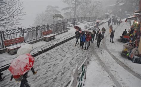 Shimla witnesses first snowfall of the season as cold wave sweeps north ...