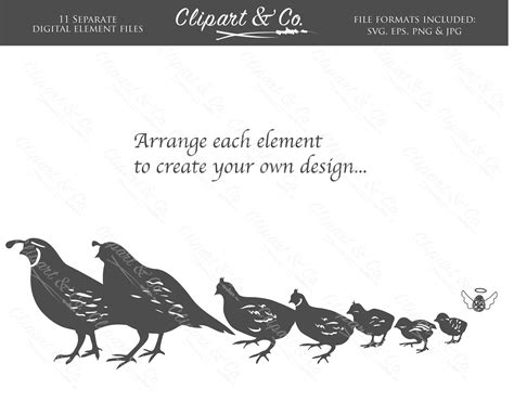 Quail Silhouette Clip Art