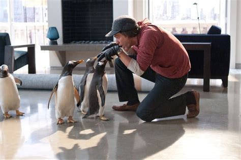 Mr. Popper's Penguins, Meet the Penguins - 5 Minutes for Mom