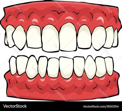 False teeth Royalty Free Vector Image - VectorStock