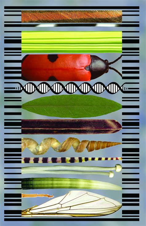 Plant DNA Barcode Project | Smithsonian National Museum of Natural History