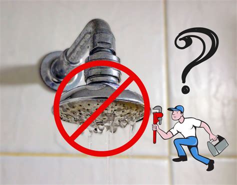 How to fix a leaky shower head - Putman & Son's Plumbing