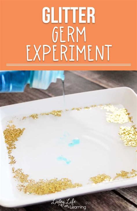 Glitter Germ Experiment | Biology experiments, Germs activities ...