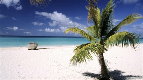 1920x1080 island palm trees wallpaper JPG 417 kB - Coolwallpapers.me!