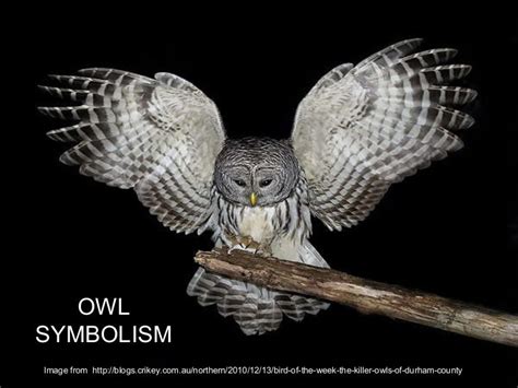 Owl symbolism