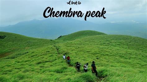 A Trek to Chembra peak Wayanad | heart shaped lake @ 6000 ft | Ananda ...